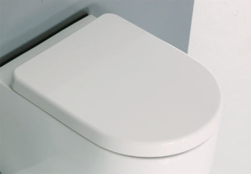 SAPHO FLO 318701 WC sedátko Soft Close, termoplast, bílá