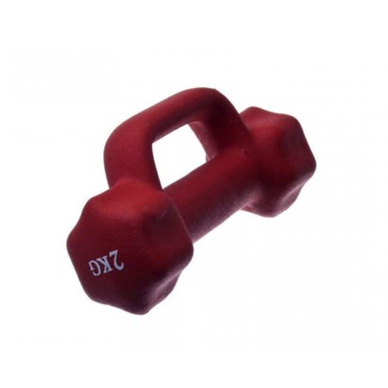 SPORTWELL Činka Star s držadlem 2 kg 52LS20022 SPORTWELL Činka Star s držadlem 2 kg 52LS20022