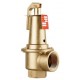 DUCO Ventil pojistný 2" x 2 1/2", 5bar, membránový 695065.50
