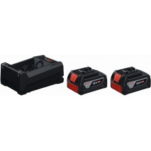 BOSCH 2x GBA 18V 5.0Ah + GAL 12V/18V-80 PROFESSIONAL Startovací sada 1600A03CH1