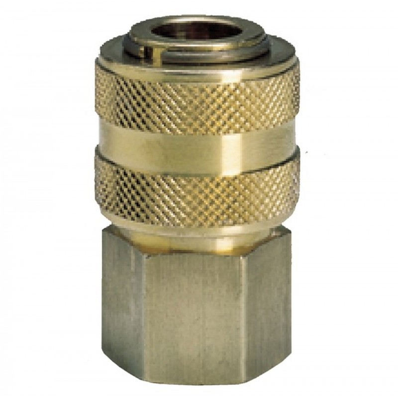 Einhell Rychlospojka R1/4 vnitřní závit 4139206