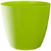 PLASTKON Dekorativní květináč Ella 15 cm lesklá hráškově zelená