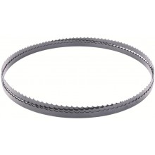 SCHEPPACH Pilový pás pro HBS 25/HBS 20/HBS 30 (1400mm / 6.4mm / 0.35mm / 4Z/Z) 7901502605