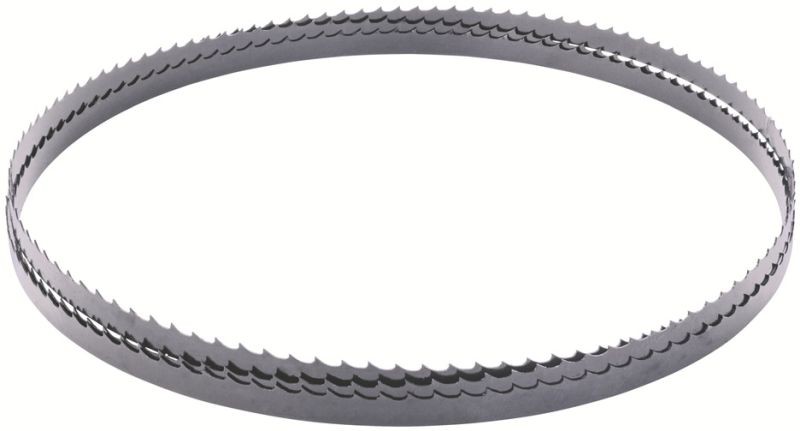 SCHEPPACH Pilový pás pro HBS 25/HBS 20/HBS 30 (1400mm / 6.4mm / 0.35mm / 4Z/Z) 7901502605