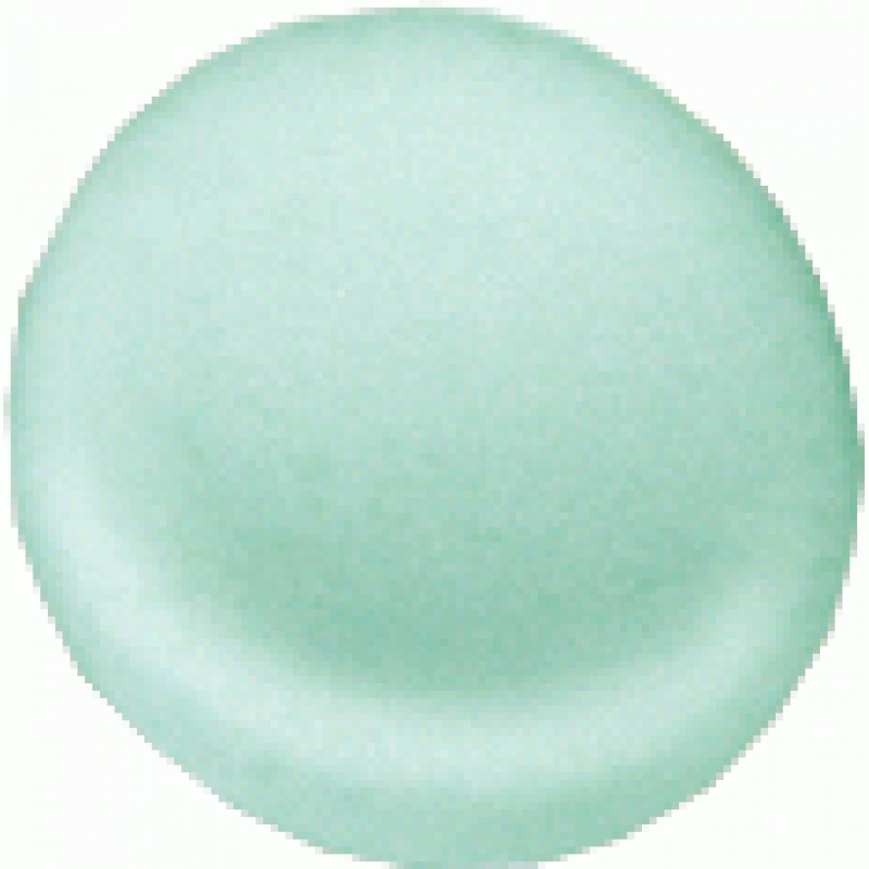 RAVAK podhlavník LoveStory - zelená B60000000Z