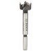 BOSCH Sukovník s tvrdokovem a předřezovými hroty 22 x 90 mm, d 8 mm 2608597605