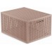 CURVER KAYA M 20L Úložný box, 37,6 x 30 x 20,7 cm, pudrová 17213763