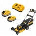 DeWALT DCMWP134W2 Sekačka na trávu bez pojezdu 53 cm (18V/2x8,0Ah)