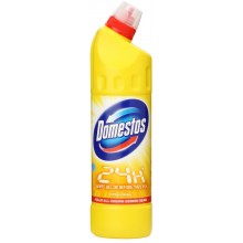 DOMESTOS tekutý dezinfekční a čistící přípravek Citrus Fresh 750 ml
