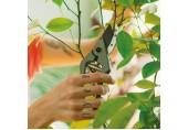 Fiskars Plant Care Zahradní nůžky s pouzdrem, 20cm 1075314
