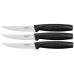 Fiskars Functional Form sada 3 steakových nožů (102659) 1014280