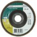 HiKOKI 4100116 Brusný lamelový kotouč na nerez a kov 125x22,23mm, Z40