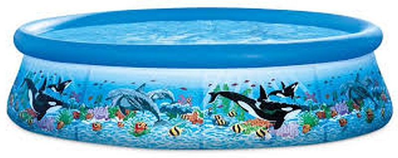 INTEX OCEAN REEF EASY SET® POOL SET (w/12V Filter Pump), Ages 6+ 10'x30" 28126GN