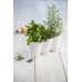 KETER IVY HERBS květináče na bylinky, bílá 17197630