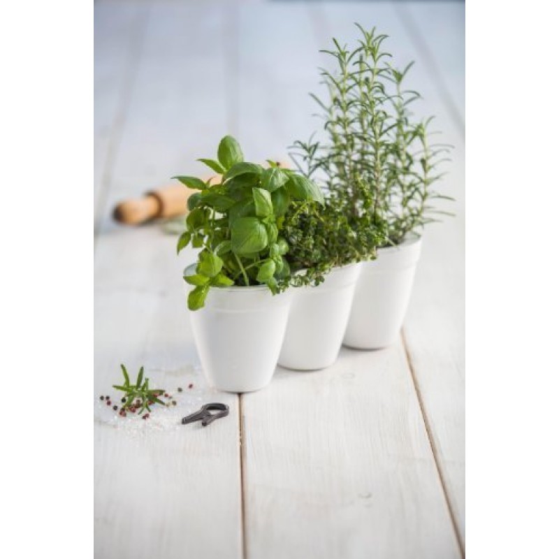 KETER IVY HERBS květináče na bylinky, bílá 17197630 KETER IVY HERBS květináče na bylinky, bílá 17197630