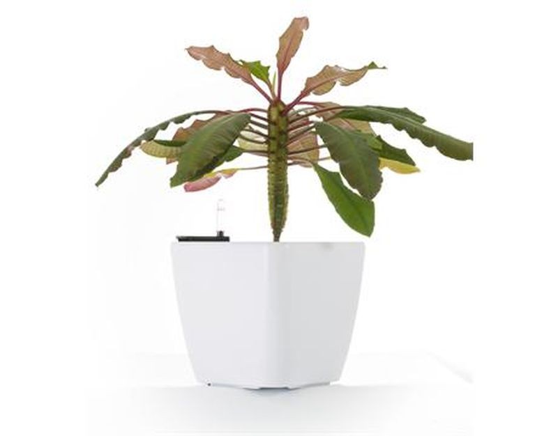 Samozavlažovací květináč G21 Cube bílý 22cm 6392410 Samozavlažovací květináč G21 Cube bílý 22cm 6392410