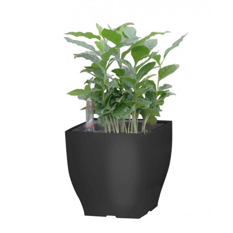Samozavlažovací květináč G21 Cube mini černý 13,5cm 6392573