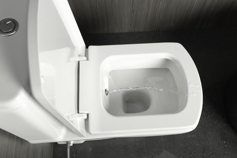 SAPHO BASIC WC mísa kombi s integrovanou bidetovou sprškou, spodní/zadní odpad 71122340