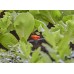 Gardena Micro-Drip System Regulační a uzavírací ventil 3/16" 13217-20