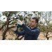 BAZAR BOSCH PRO PRUNER PROFESSIONAL Akumulátorové zahradnické nůžky 12V, 2x 3,0Ah 06019K1021 PO SERVISE, POUŽITÉ!!!