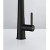 Franke FG 0598.901 ICON Dřezová baterie, sprcha/proud matná černá 115.0690.598