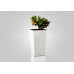 PLASTKON In- & Outdoor květináč Elise lesk 25 cm fuksie
