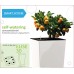 PLASTKON Samozavlažovací systém Smart system Elise 30 cm