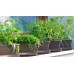 PLASTKON Truhlík Small window box s miskou 20 cm bílá