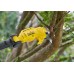 STANLEY SFMCPP632D1 FatMax V20 Aku nůžky na větve na tyči (18V/1x2,0Ah)