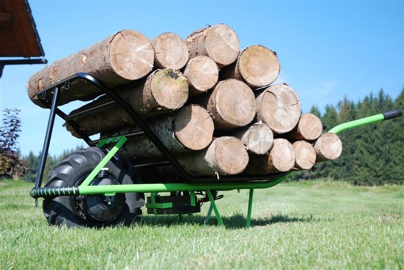 PLUS MOKAR WIELKI - zdjęcie