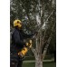 DeWALT DCMPS635N Prořezávácí řetězová pila XR FlexVolt (25cm/54V/bez aku)