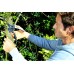 Fiskars PowerStep P83 Nůžky zahradní jednočepelové 19cm (111670) 1000575