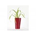 Samozavlažovací květináč G21 Trio mini červený, výška 26cm 6392511