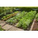 GARDENA Micro-Drip-System-startovací sada pro rostliny v řádcích 25m 13015-20