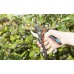 GARDENA Comfort B/S-XL Dvoubřité zahradní nůžky, 24 mm 8905-20