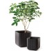 KETER CUBE PLANTER M Květináč, 30 x 30 x 30 cm, hnědá 17202066