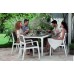 VÝPRODEJ KETER HARMONY zahradní židle, antracit/hnědo-šedá 17201284, PRASKLÁ