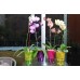 PROSPERPLAST COUBI květináč na orchidej 1,3l, žlutá DUS130P