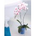 PROSPERPLAST COUBI květináč na orchideje 1,5l, bílá DUOW130P