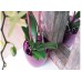 PROSPERPLAST COUBI květináč na orchideje 1,5l, fialová DUOW130P