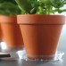 PROSPERPLAST COUBI miska pod květináč 36x4,7cm čirá PPC360