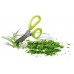 Prosperplast HERBS CUT nůžky na bylinky 13cm, limetka ICUT1